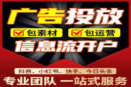 成功SEM竞价托管案例分析报告